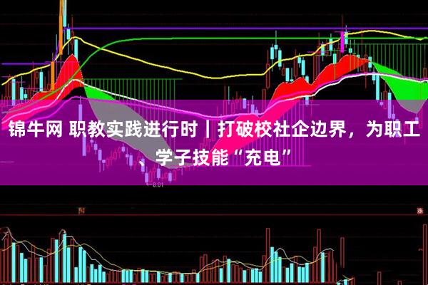锦牛网 职教实践进行时｜打破校社企边界，为职工、学子技能“充电”