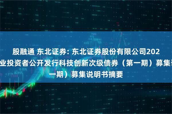 股融通 东北证券: 东北证券股份有限公司2025年面向专业投资者公开发行科技创新次级债券（第一期）募集说明书摘要