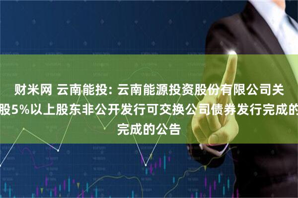 财米网 云南能投: 云南能源投资股份有限公司关于持股5%以上股东非公开发行可交换公司债券发行完成的公告