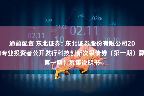 通盈配资 东北证券: 东北证券股份有限公司2025年面向专业投资者公开发行科技创新次级债券(第一期)募集说明书