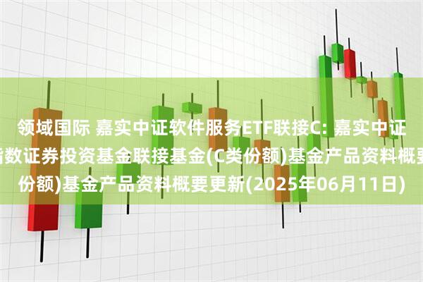 领域国际 嘉实中证软件服务ETF联接C: 嘉实中证软件服务交易型开放式指数证券投资基金联接基金(C类份额)基金产品资料概要更新(2025年06月11日)