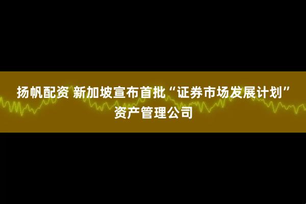 扬帆配资 新加坡宣布首批“证券市场发展计划”资产管理公司