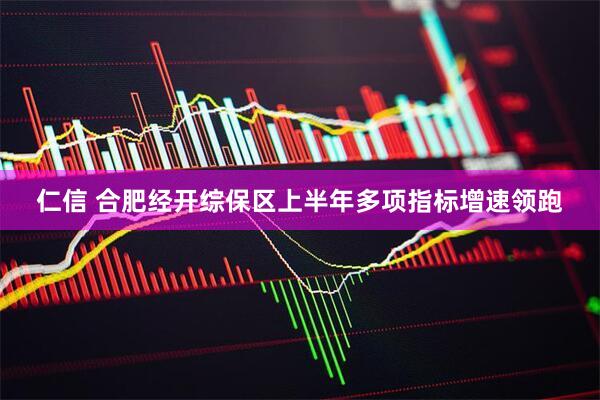 仁信 合肥经开综保区上半年多项指标增速领跑