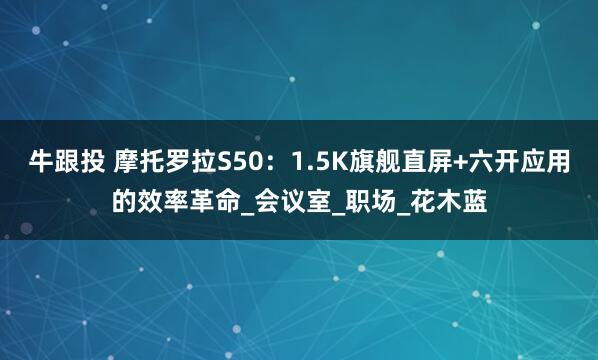 牛跟投 摩托罗拉S50：1.5K旗舰直屏+六开应用的效率革命_会议室_职场_花木蓝
