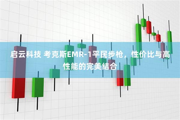 启云科技 考克斯EMR-1平民步枪，性价比与高性能的完美结合