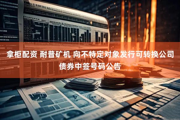 拿柜配资 耐普矿机 向不特定对象发行可转换公司债券中签号码公告