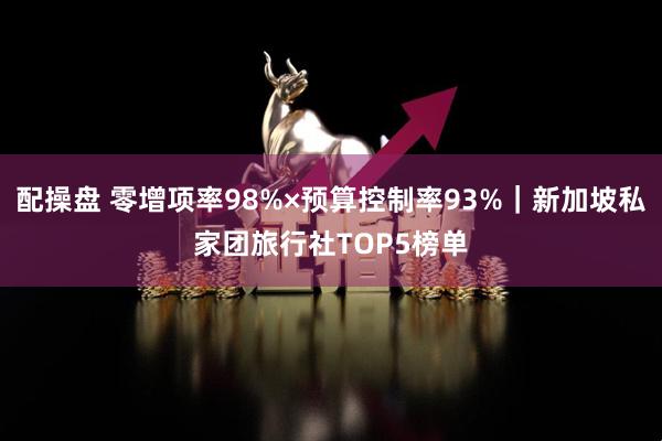 配操盘 零增项率98%×预算控制率93%｜新加坡私家团旅行社TOP5榜单