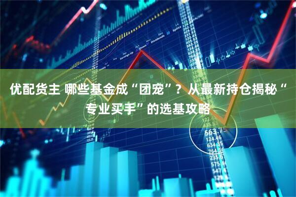 优配货主 哪些基金成“团宠”？从最新持仓揭秘“专业买手”的选基攻略